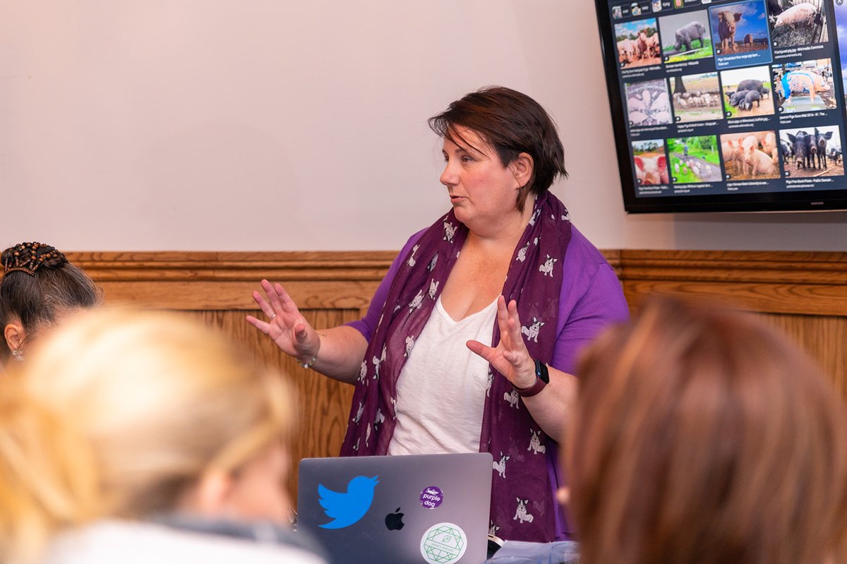 purpledoguk's tweet photo. The right image size can make or break your social media post! Make sure you are using the correct size for each platform to ensure your images look their best.
Canva Pro can be a great tool to help with this.
#socialmediamarketing #imagesize https://t.co/AwtJ577LXt