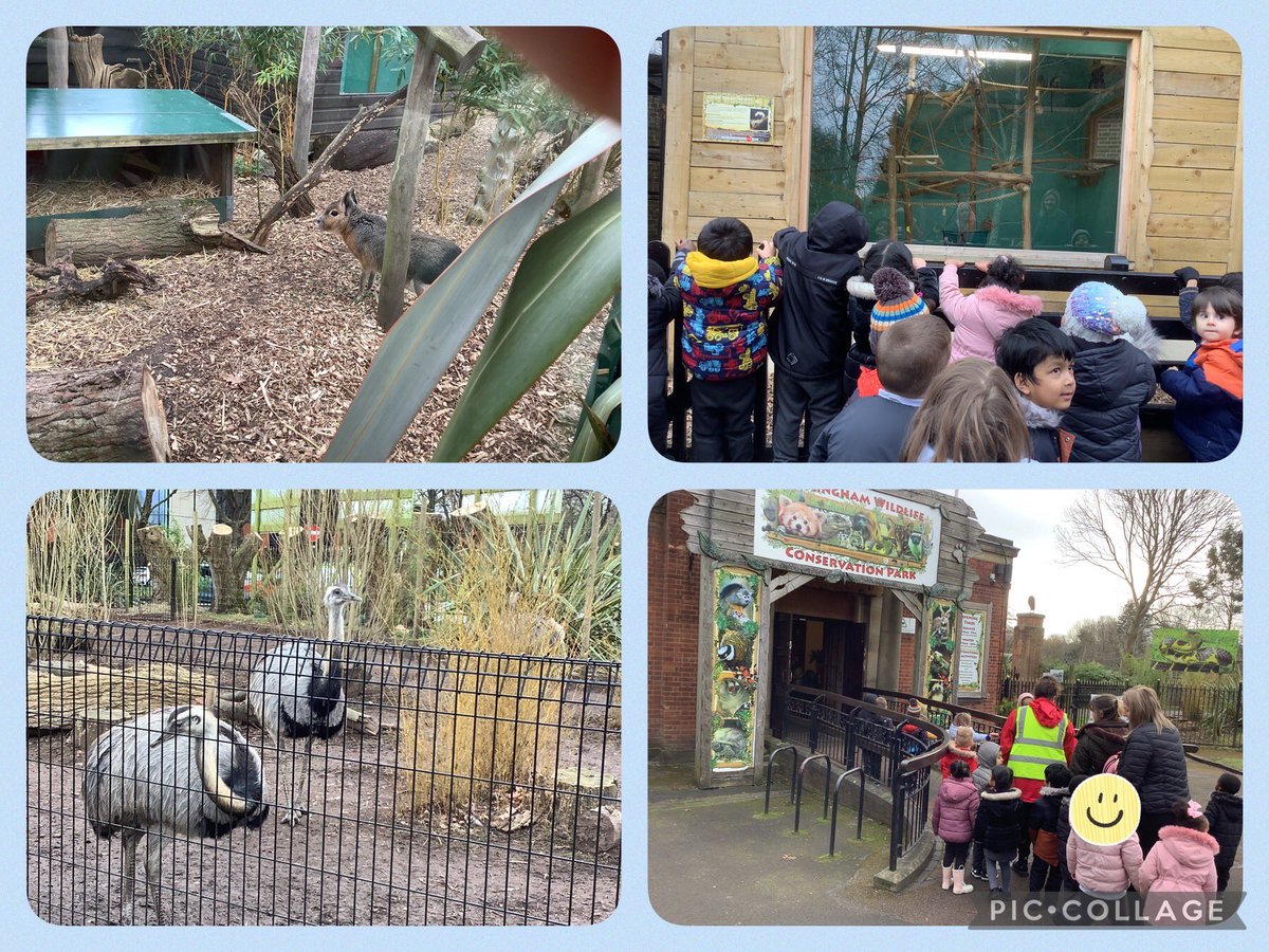 Julie_FDPA's tweet photo. Nursery had their first trip out to Birmingham Wildlife Conservation Park today. Their behaviour was impeccable. @MrsM_Court @fourdwellingspa @EYFS_FDPA https://t.co/MYLcXfMBl3