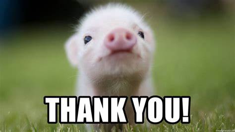 automed_OS (@automed_os) on Twitter photo Thank you to everyone that visited our booth at the Dutch Pork Expo! We are very excited to introduce this technology into the market! Let us know how <a href="/automed_OS/">automed_OS</a> can fit into your operation! Thank you to everyone that visited our booth at the Dutch Pork Expo! We are very excited to introduce this technology into the market! Let us know how <a href="/automed_OS/">automed_OS</a> can fit into your operation!