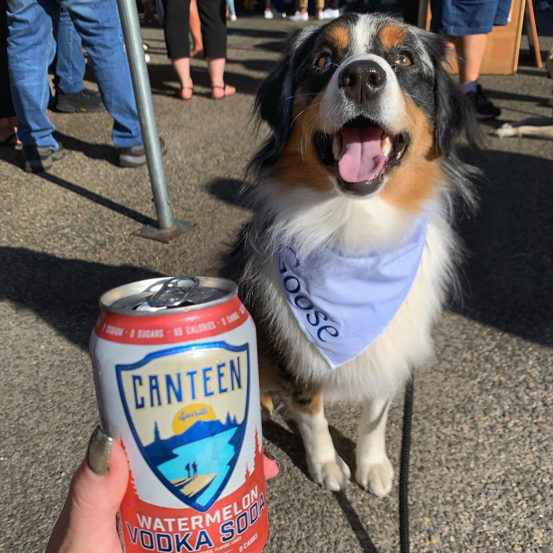 CanteenSpirits's tweet photo. Who needs a Valentine when youโve got these two.
๐ธ : @miniaussie_goose
#GrabAdventure #GrabFlavor #CANTEENSpirits #ReadyToDrink https://t.co/ihwW7ecD3L