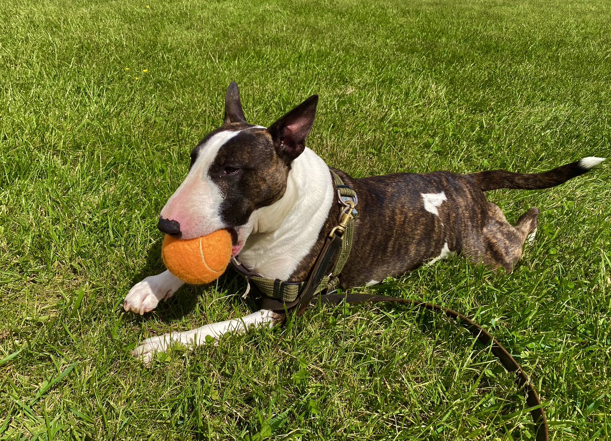 Christopher Yochim tweet media