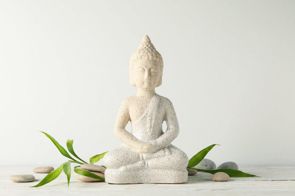 RelaxingIntoZen's tweet photo. Meditation is a way to connect with the universe. Quiet your mind and feel the flow of energy within and around you
#meditation #Mindfulness #MeditationPractice https://t.co/KCSnrtZsDo