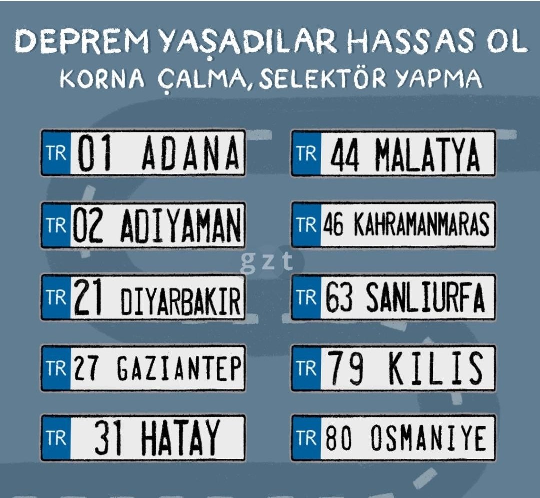 Bastırıp arabalara koysak mı?