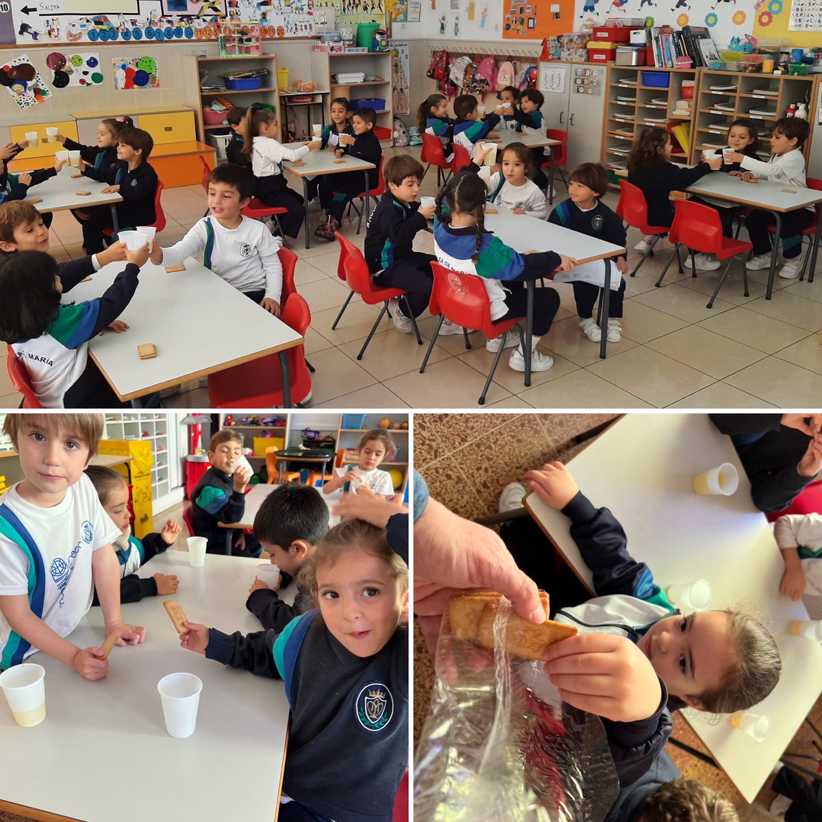 Colegio Pureza Santa Cruz tweet media