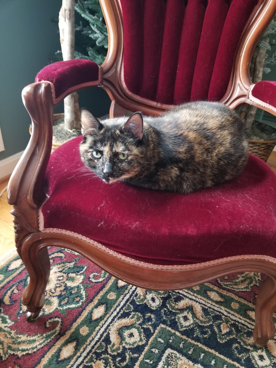 Detectiveyggdrasil Kris рџќђрџ On Twitter