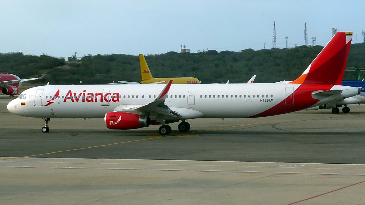 Guillermo De Armas ✈ tweet media