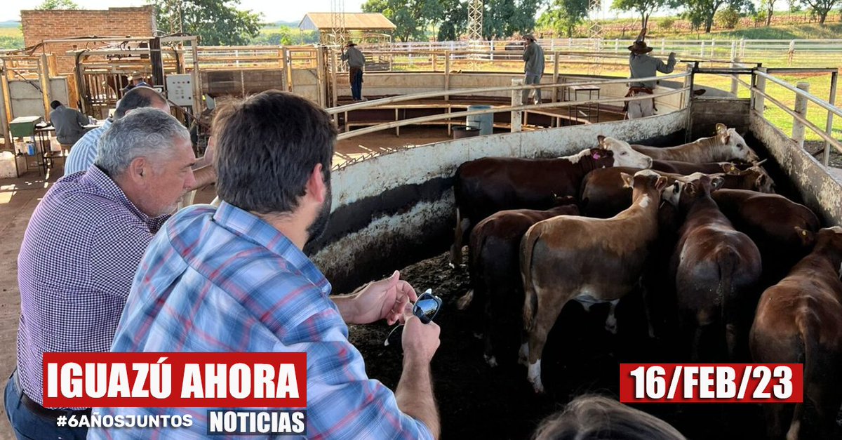 Iguazu_Ahora's tweet image. #Misiones #Presentaron #PlanGanadero 

SE PRESENTÓ LA PROPUESTA DE “PLAN GANADERO PARA MISIONES 2023/2033”

Nota: iguazuahora.com/se-presento-la…