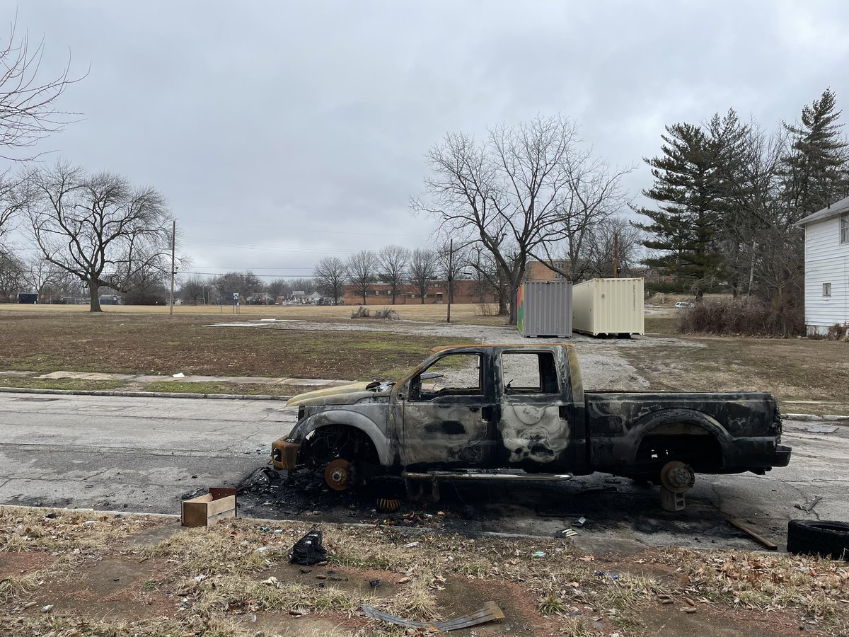 Laura P Ginn tweet media