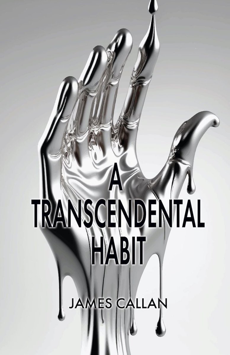 While some writers hate talking about genre, author James Callan created a new one with his #cyberpunk #SciFi novel 'A Transcendental Habit': salacious misadventure. To find out what that means, check out this Q&A. paulsemel.com/exclusive-inte… 📖💊 . . . . #BookTwitter #ScienceFiction