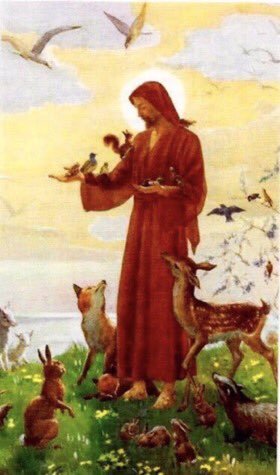 catgirl321's tweet photo. @danapixie @frisky9 Sending heartfelt prayers to St Francis of Assisi, Patron Saint of Animals and to St Gertrude, Patron Saint of Cats and to St Martin de Porres, Patron Saint of Pets🙏🏻
PLEASE watch over @Frisky9 Frisky💜🐾
#weeti #CKDFightClub #LoveAndStrength #pawcircle https://t.co/HNamMk3Qep