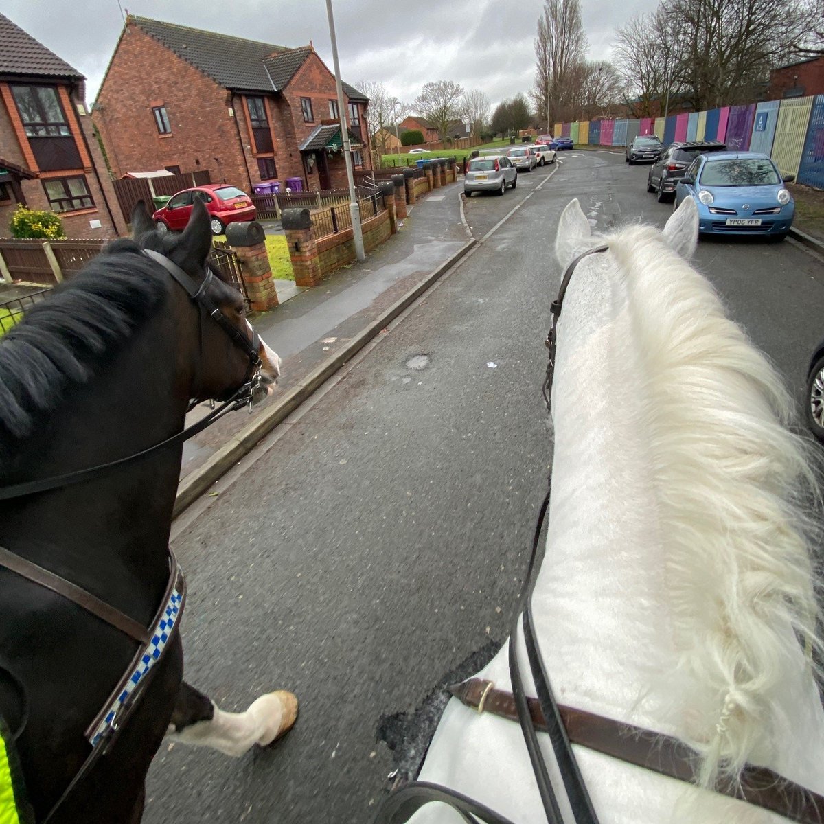 Today, our officers were out in Belle Vale with our Mounted team 🐴

Getting out on the horses brings so many smiles to people who pass, but is also crucial for our teams who will pick up intel along the way, and offer the community reassurance that we are here to keep you safe.
