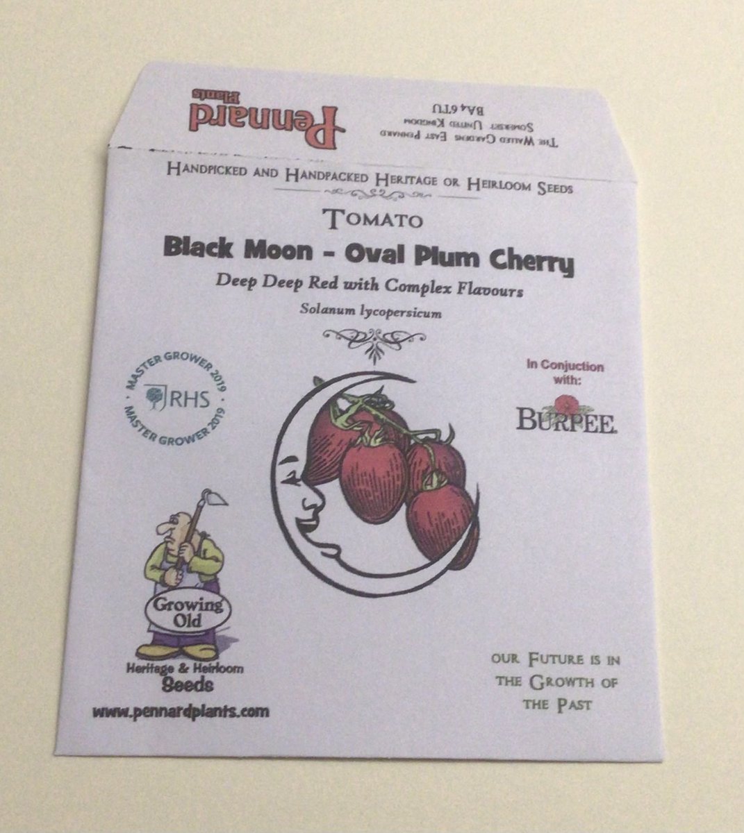 Latest addition from ⁦@BurpeeEurope⁩ tomato Black Moon, good looking and tasty too. Available now from pennardplants.com