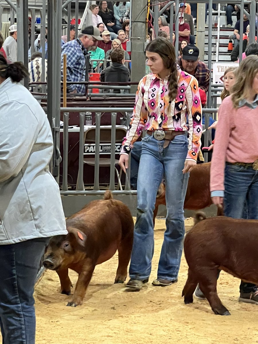 KellerISDFFA's tweet photo. ⚡️San Angelo Gilt Show⚡️

We had four of our members travel to San Angelo to exhibit their gilts last weekend and gain some valuable ring time with their animals before our county show in a few weeks! 

Swine Exhibitors🐷
Mallie Ingram 
Chase Smarr
Emma Schee 
Natalee Shaw https://t.co/0m1i3VZLZX