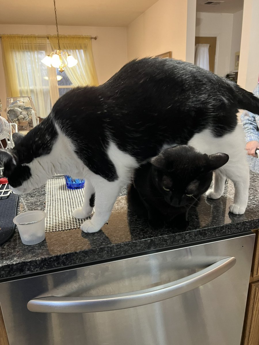 If the object won’t move, just step over it…