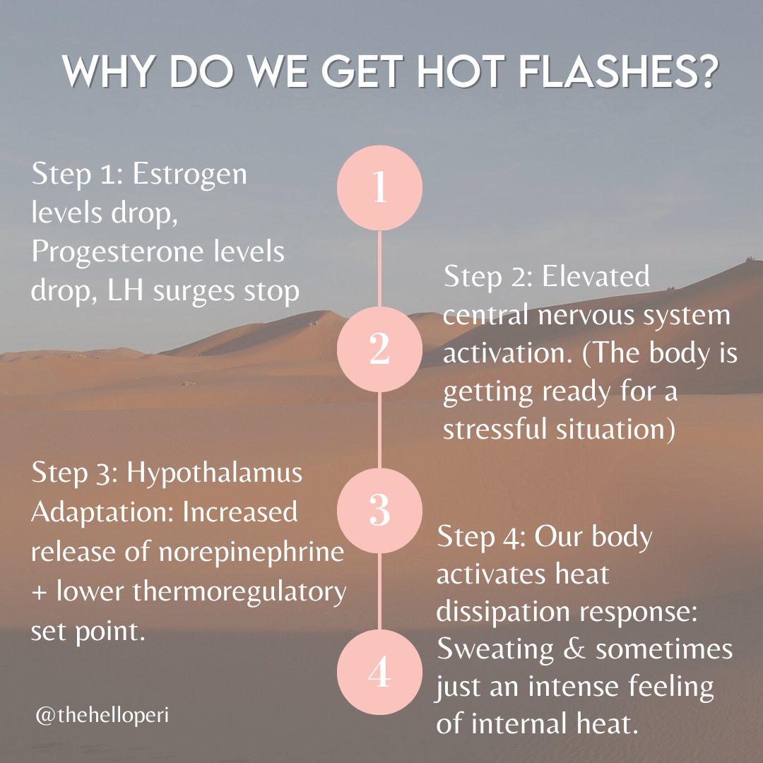 What are the hormonal changes that happen to cause our body to experience hot flashes?  Hot flashes = rapid and EXAGGERATED heat lowering response.

#perimenopause #perimenopausehealth #perimenopausal  #hotflashes #hormones #hormonalimbalance #hormonal #health #wellness