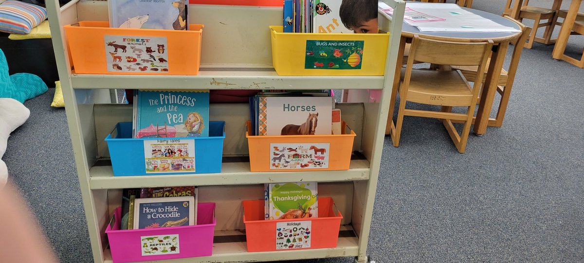 CopasSPESLibary's tweet photo. Got our new Jr. Nonfiction section put together in easy browsing buckets. As soon as I am done weeding the picture book section, we will put these buckets on the shelves! It's all coming together!😍 https://t.co/y2In1DwskN