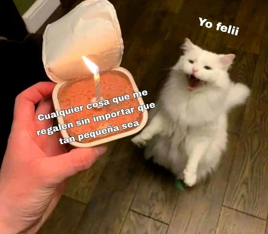 skereunpesado's tweet photo. https://t.co/BIUj28wm0C
