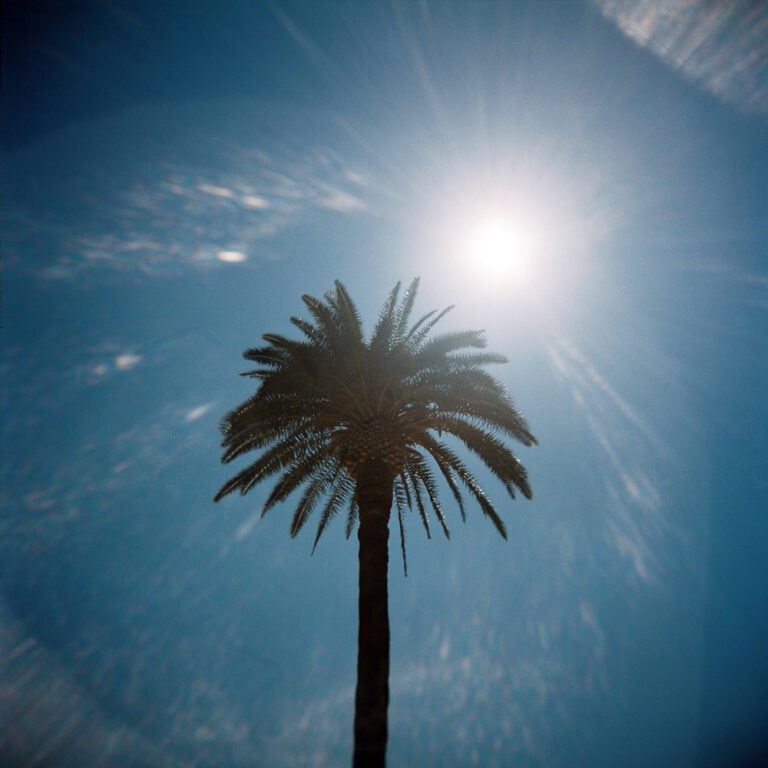 nickpage's tweet image. Walking around Nice, France with a Holga and Kodak Portra 400. #holga #filmphotography #istillshootfilm #kodak