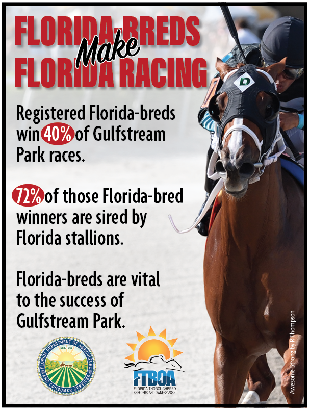 VideoHipico on Twitter "RT florida_horse FloridaBreds Make Florida