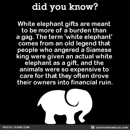 DidYouKnowFacts's tweet photo. https://t.co/QtuJHWL5fl