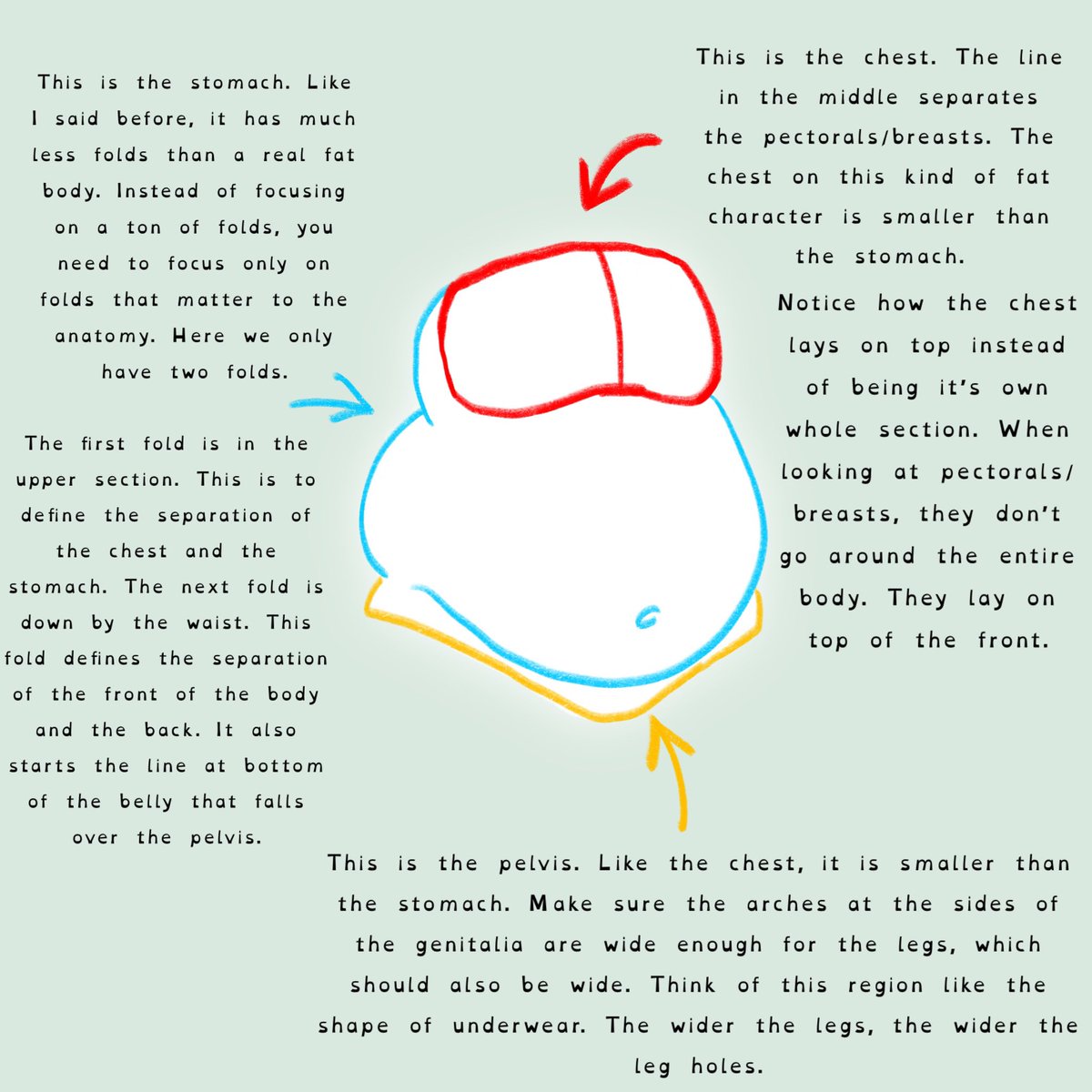 Jaspydunx's tweet photo. Jaspydunx‘s quick guide to fat anatomy! (4/7) (definitely not a repost bc I put the photos out of order) https://t.co/6OQfPYDott