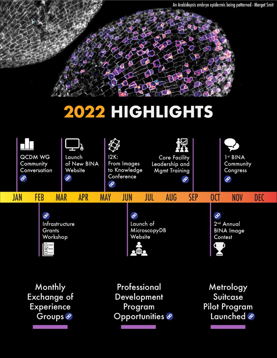BioimagingNA's tweet photo. Did you see👀 the BINA #AnnualReport in our newsletter today?
In it we highlight:
🤝Membership Growth
🔬# of Cores in our Database
🏆# of PD Awards
📅 Major Events from 2022
💻Launch of @MicroscopyDB
& more!
Thanks to @CZIScience and our #BINASponsors!
https://t.co/wvX8CIJ213 https://t.co/WydNvkRmyz