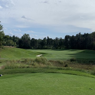 BushAlan's tweet image. #NewProfilePic