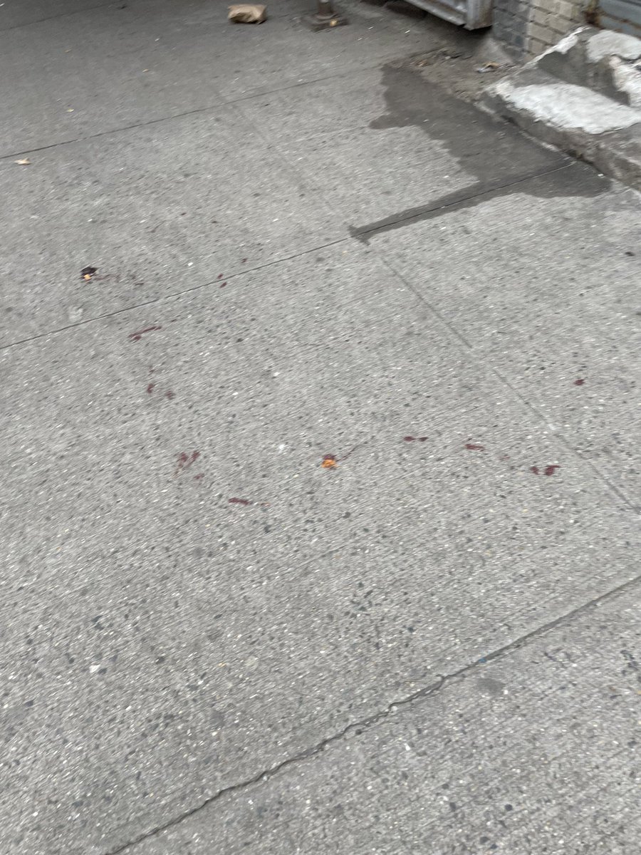 DrMathNYC's tweet photo. Warning: Bloody mess. Walking daughter home from school — bludgeoned rat in the middle of the sidewalk. I think an e-bike probably ran over it. [why are e-bikes on the sidewalk??] @NYCSanitation @ShaunAbreu @NYCSchools #rats #burrow #ratsnest #ps153 https://t.co/1bHOI0GZKx