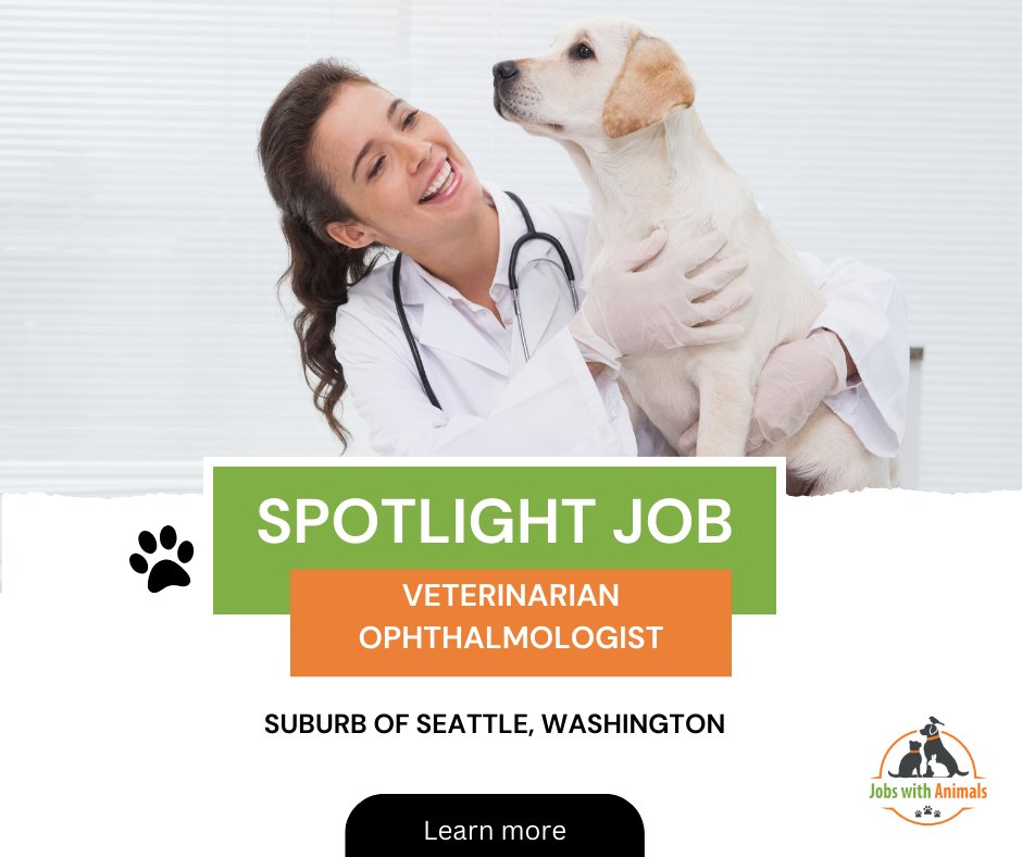 ⭐ Spotlight job ⭐
Veterinarian Ophthalmologist - Suburb of Seattle, WA
Learn more here: ow.ly/ypt050MPpsx

#veterinaryIndustry #AnimalHealthCare #veterinaryCareers #VetJobs #Veterinaryjobs #VetProfessionals #veterinarians #veterinarians #veterinary #veterinarianclinic