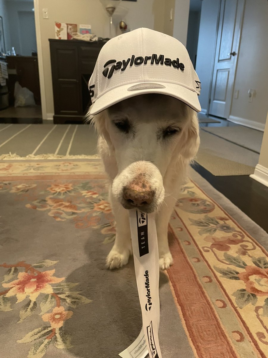 Grant_Golf's tweet photo. Thanks to Taylor Made Canada for the #FARGIVENESS gift box!! #stealth2driver #P770 #TP5 & #TP5X #spiderGT @davidbradley79 @mpfenning92 @TheRealCFry @Peter_Chandler_ https://t.co/sIjplZLYX3