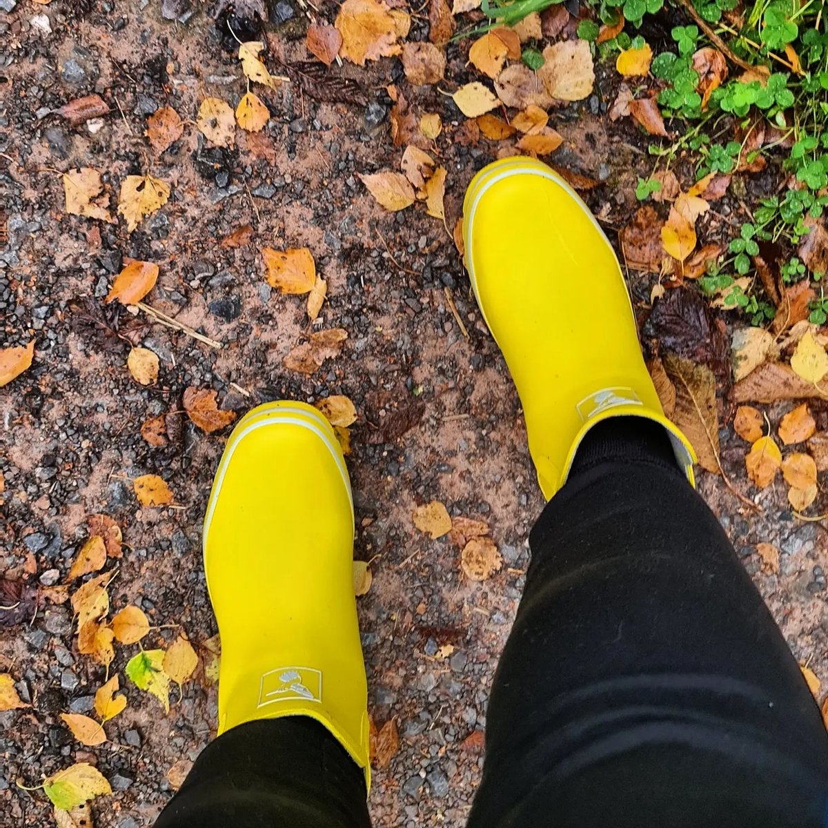 evercreatures's tweet image. It's nearly the weekend. Stride out in those bright wellies and tell us what Half Term Plans you have this week? 

#repost 📷️ @redpandaecoshop
.

#wellies #citywellies #'rainbowwellies #rubberwellies #rubberboots #newwellies #evercreatures #lovemywellies #veganwellington