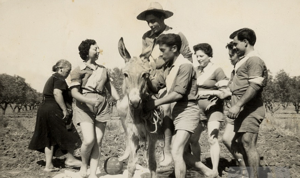 museuqdp's tweet photo. Fotografia📷de 1955 i pertanyent a la família Martínez Palacios per a recordar la figura dels burros. Eren obrers i llauradors, però les màquines 🚜 els van deixar en atur. Alguna pista sobre la identitat del grup familiar que apareix amb el burret? #quartdepoblet @CulturaQdP https://t.co/7BkRTbRwuY