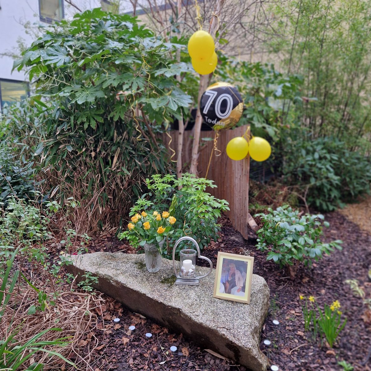 lisa8coleby9's tweet photo. Today, we celebrated for you, on what would have been your 70th birthday. You have left us all with a heavy heart ❤️. I hope we did you proud today, Sue.  Happiest of birthdays to you, lots of love, @NEWSEAU #RIP #70years #fallenhero https://t.co/qdcGRiseqK