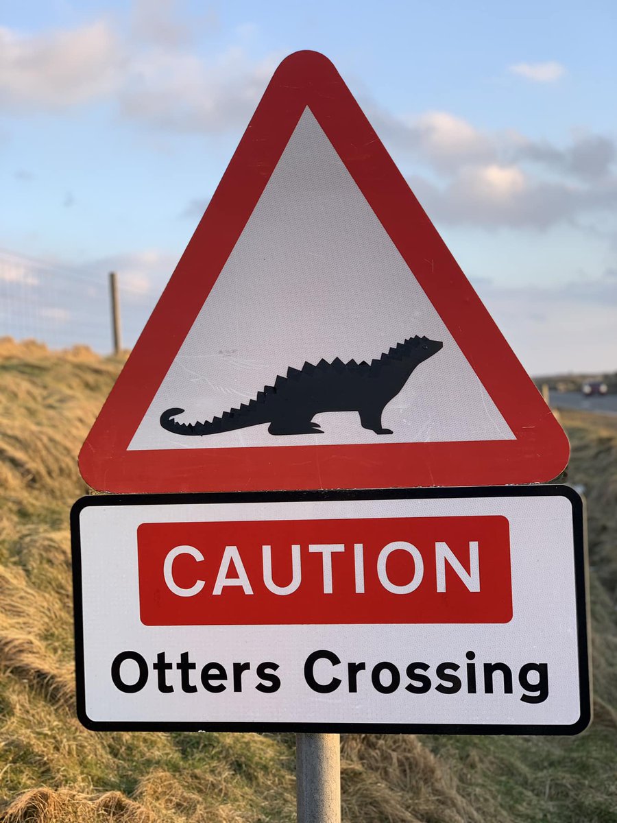 klondyker's tweet photo. If I take nothing else home with me from visiting the Uists and Outer Hebrides, it will be the fact that googley eyes on signs make driving and life far funnier and worth living. I may have a new purpose in my life on the mainland....
#VisitHebrides #VisitScotland https://t.co/SOOrlxyPPx