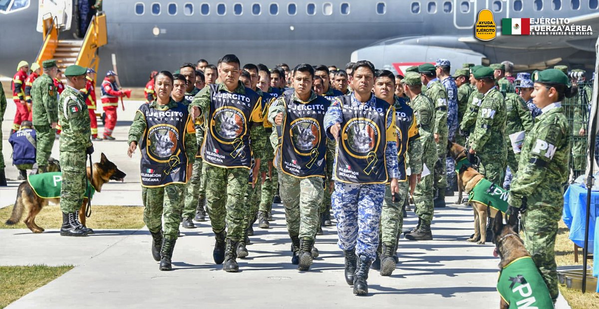 Defensamx1's tweet photo. Damos la bienvenida a nuestros héroe y amigo #Proteo y a nuestros hermanos que integraron la Delegación Mexicana de la “Fuerza de Ayuda Humanitaria”, que apoyaron salvando vidas en los trabajos de Búsqueda y Rescate en #Turquía.
🪖 🇲🇽 🇹🇷 🐶  🫡 https://t.co/BlGShytaIJ