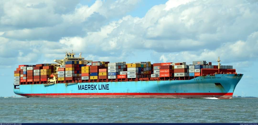 cabdiraxmanmid's tweet photo. #Markabka Maersk Sentosa oo ku badmaaxa calanka 🇺🇸 ayaa soo galay Bada Cas. Wuxu ka soo shiracday magalda Norfolk, Virginia oo uu ku yaalo talska Ciidamda Bada 🇺🇸

18 feb. Ayuu Ku soo xidhan doona #Berbera oo uu 25 feb. Ka dhici doono #dhoolatuska #ciidanka 🇺🇸 &amp; xulafdiisa Afrika https://t.co/Vi9wskxLAX