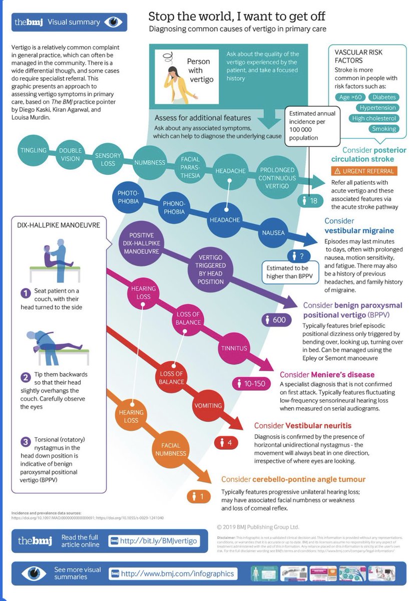 Considerations when assessing dizziness and imbalance BMJ2019