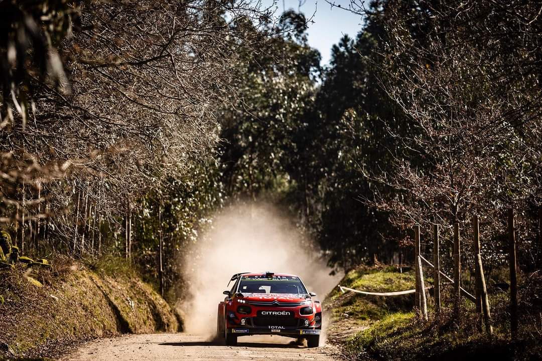 PauloAr23028946's tweet photo. Imagens da secção de Co-drives de ontem.
📷 #raceforgood https://t.co/s9uKGHV8EQ