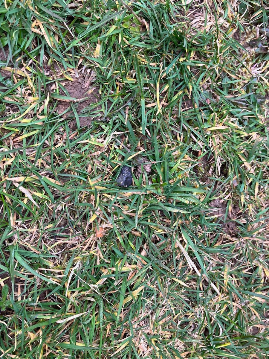 Nos amis auraient-ils trouvé une seconde #météorite ? La suite demain 😏