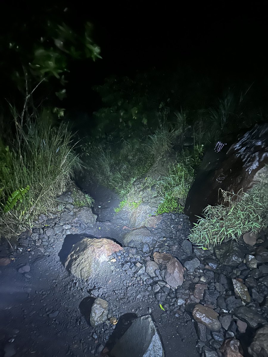 Anth the MADegen 🦘🇦🇺 tweet media