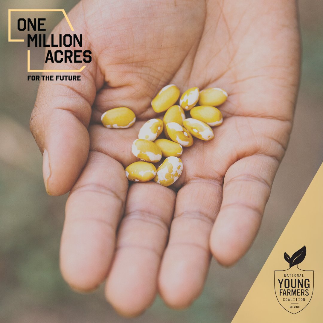 🗣️📣 Ya llegó, ya llegó!!! Episode 2 is here‼️‼️ 

¡Dale clic al enlace 👇🏾👇🏾👇🏾👇🏾  soundcloud.com/cal-ag-roots/a…   para escuchar el Episodio 2 ahora! 

Crédito de la imagen: Stella Kalinina

#landaccess #youngfarmers #onemillionacres  #calagroots #california #history #communitystories