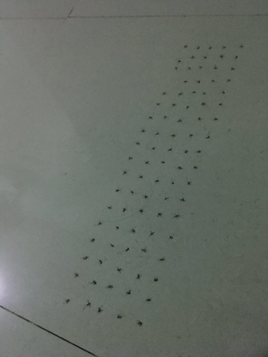 nonton bola ❌
nepakin nyamuk ✅