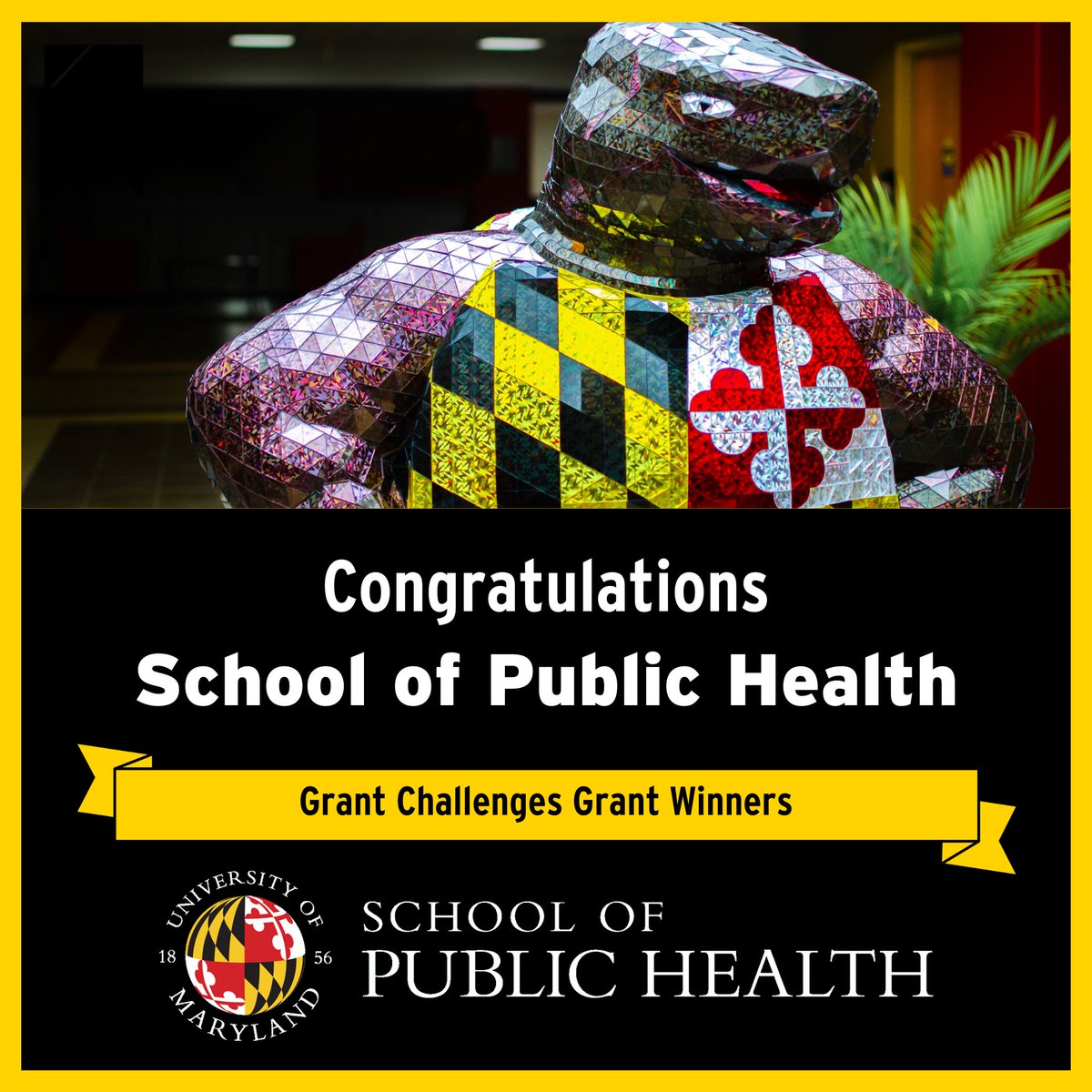 UMD Public Health tweet media