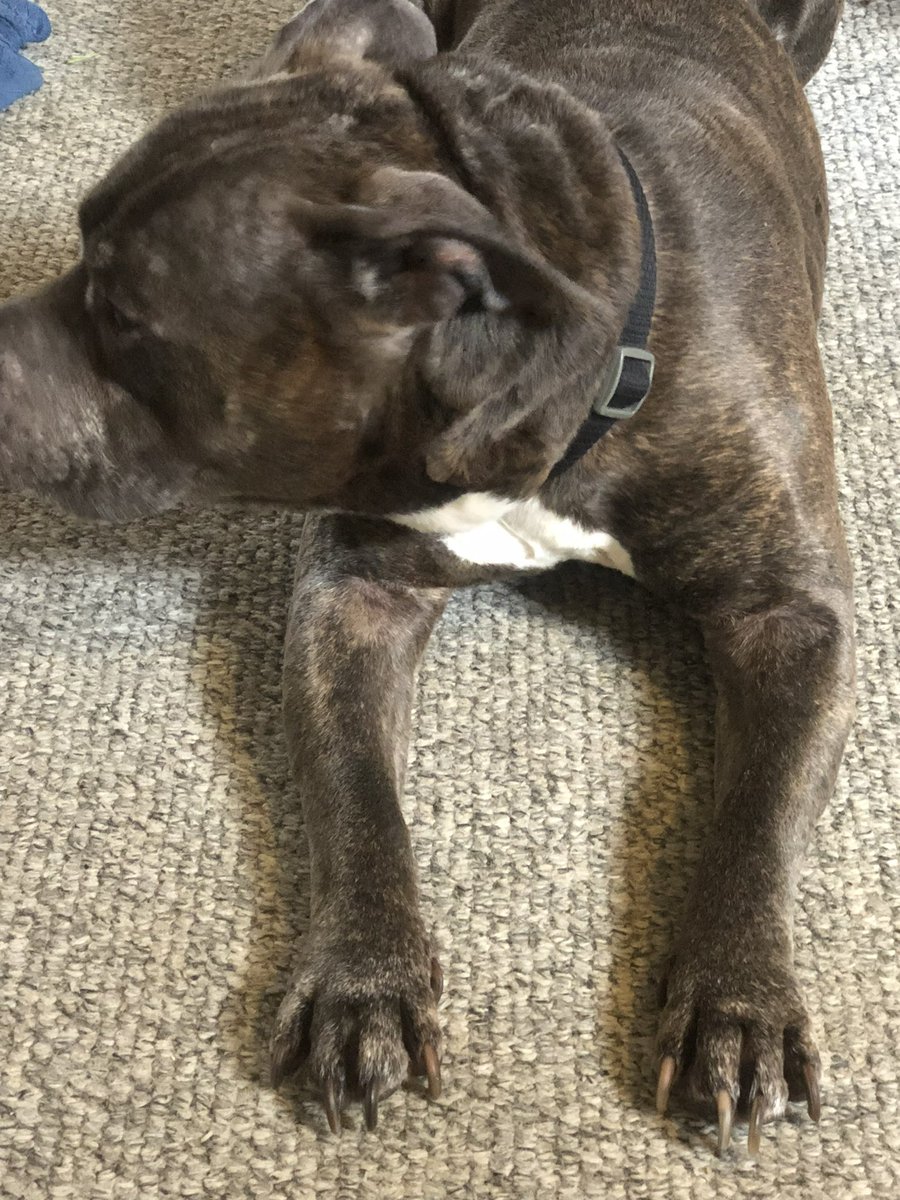 EFFEXWH0RE's tweet photo. #BADINK: side eye https://t.co/cOrwFUfc1r