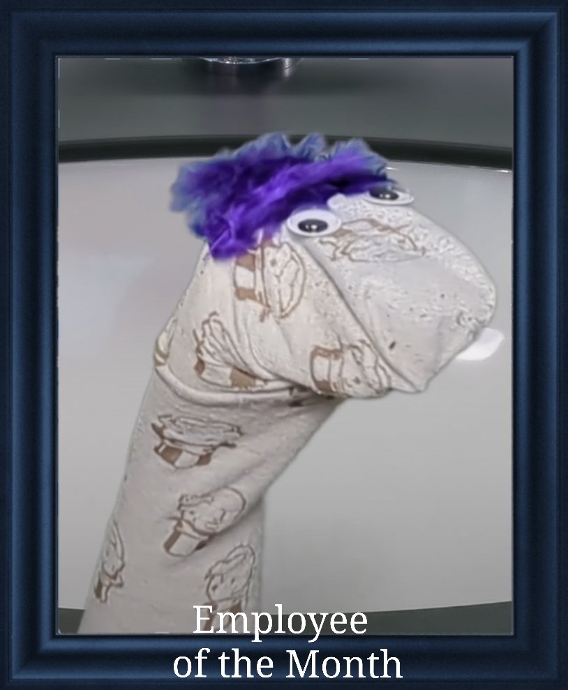 bottomsdotcom's tweet photo. Shout out to our Employee of the Month! Look at their fashion sense! https://t.co/kVQY4gdZ02