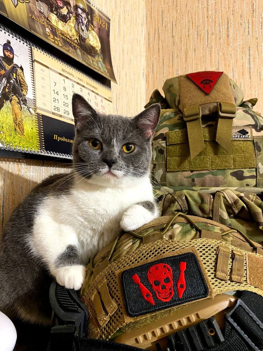 Gabriel Hernando on Twitter "RT Sinnaig 🇷🇺 Russian Cat Battalion..."