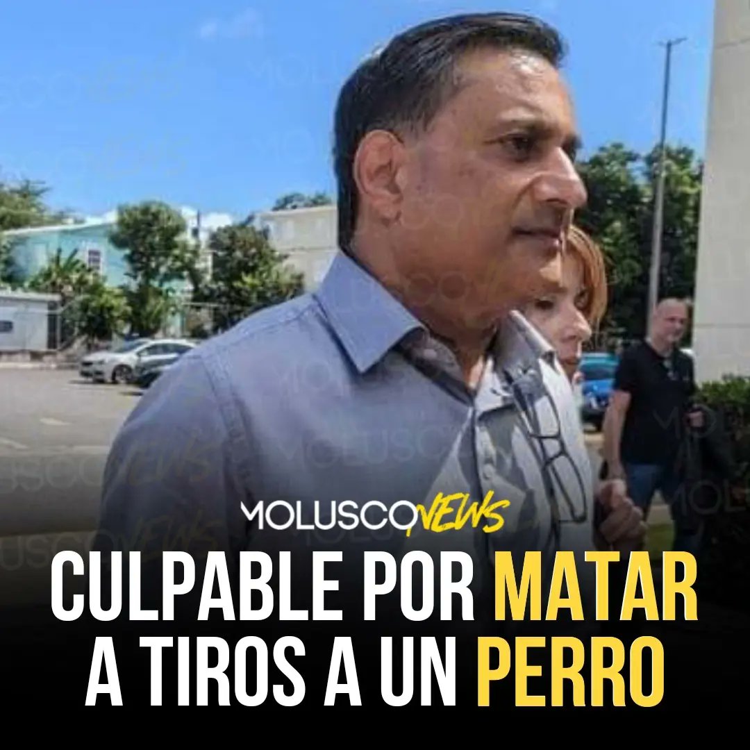 Moluskein's tweet photo. Un juez del Tribunal de Fajardo encontró culpable al empresario Salil A. Zaveri, por matar un perro a tiros en el campo de golf del hotel Wyndham Grand Rio Mar, en Río Grande.

El hombre siempre alegó que mató al perro en defensa propia, pero se supo que el pequeño perro nunca lo atacó y sólo estaba jugando con una de las pelotas de golf y persiguiendo a los que jugaban.

Zaveri, nacido en India pero residente de New York, podría enfrentar una condena de  hasta 55 años de cárcel.

#MoluscoNews 
#ElMolu🎧