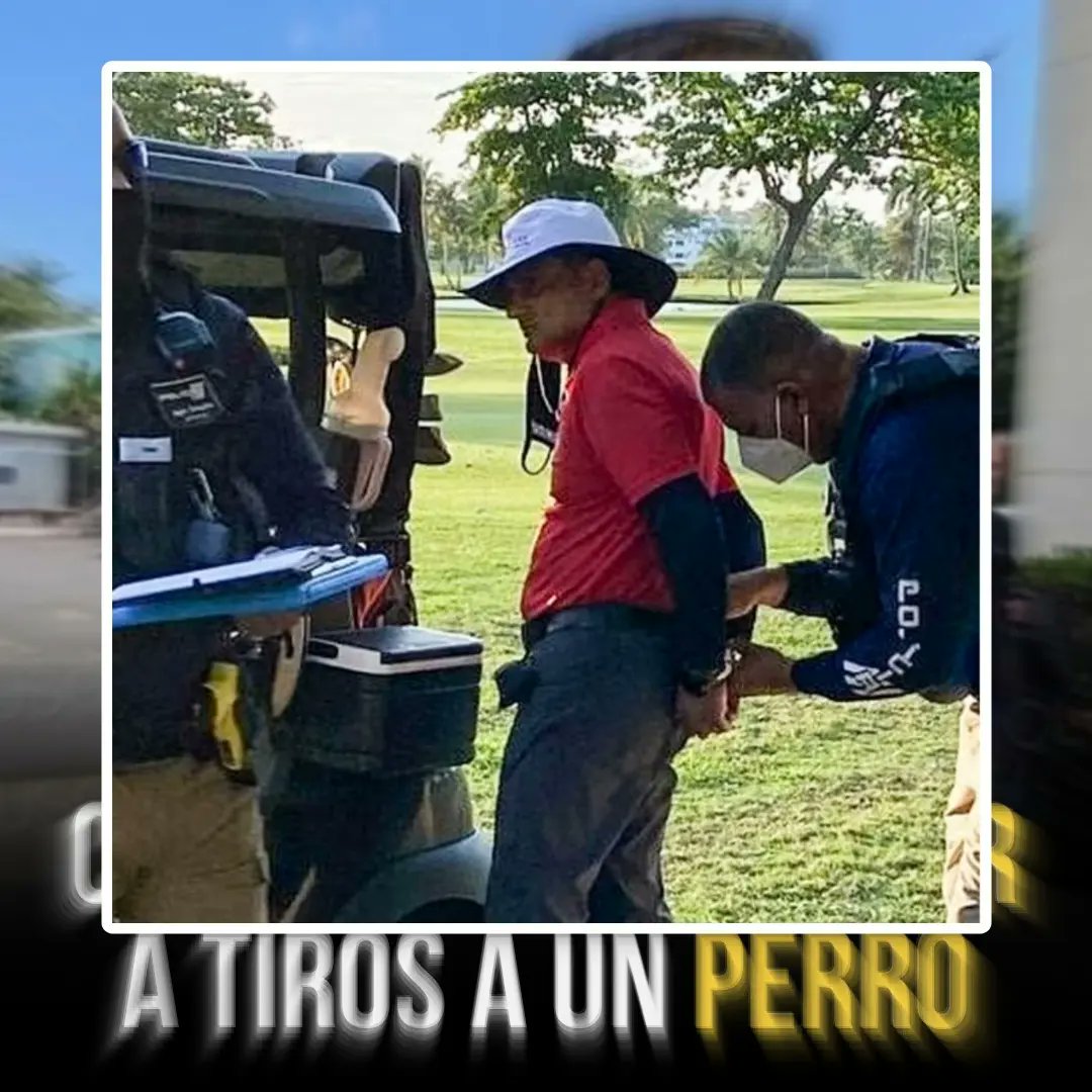 Moluskein's tweet photo. Un juez del Tribunal de Fajardo encontró culpable al empresario Salil A. Zaveri, por matar un perro a tiros en el campo de golf del hotel Wyndham Grand Rio Mar, en Río Grande.

El hombre siempre alegó que mató al perro en defensa propia, pero se supo que el pequeño perro nunca lo atacó y sólo estaba jugando con una de las pelotas de golf y persiguiendo a los que jugaban.

Zaveri, nacido en India pero residente de New York, podría enfrentar una condena de  hasta 55 años de cárcel.

#MoluscoNews 
#ElMolu🎧