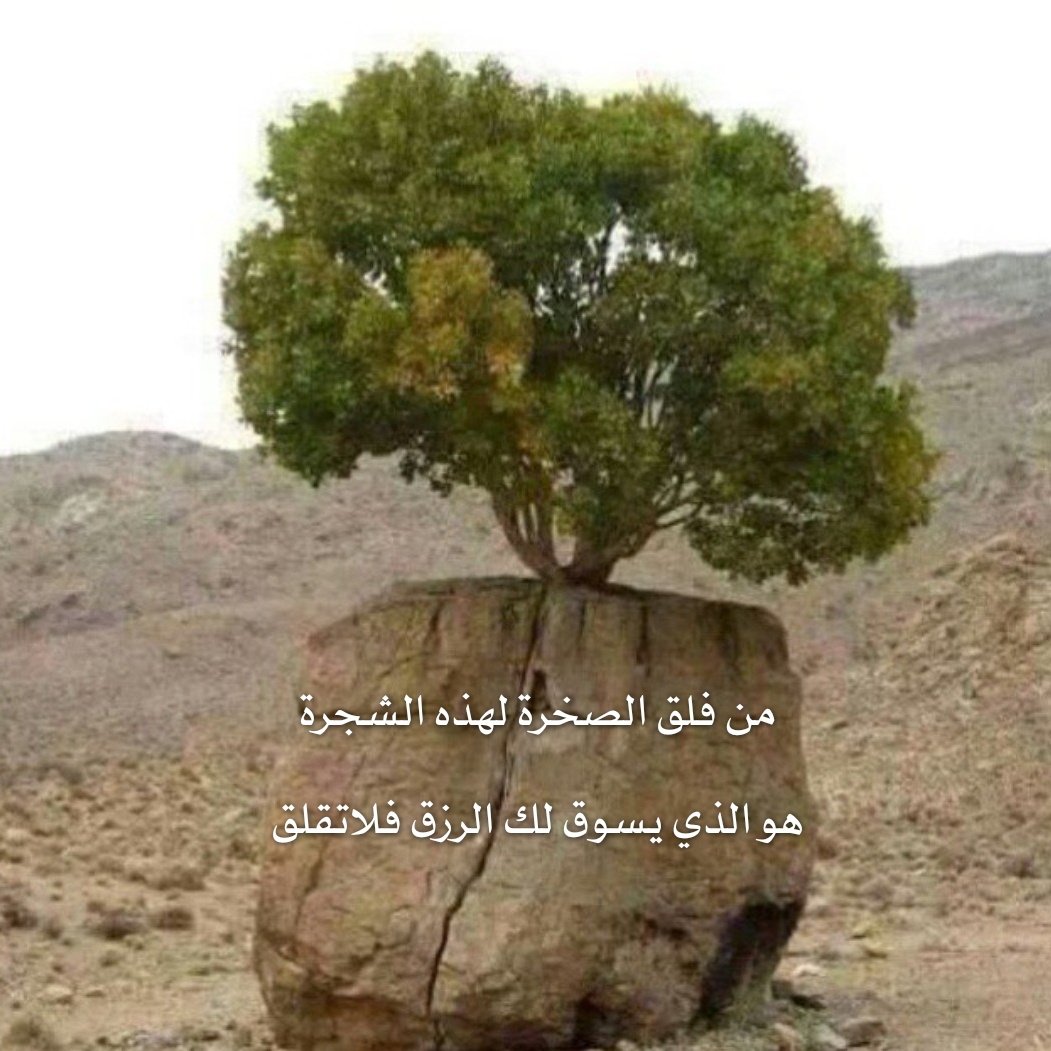 b_alrobah's tweet photo. #صورة_ملف_شخصي_جديدة https://t.co/2WXMvLGC2S