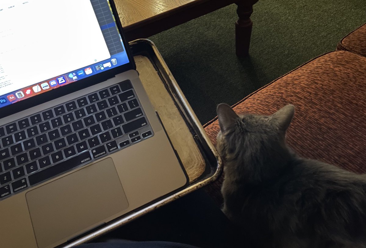 Working on some client projects with my pal Nimbus on the summit today. (And yes that is a cookie sheet/makeshift lap desk bc that’s what I’ve got to work with right now). #mountwashington